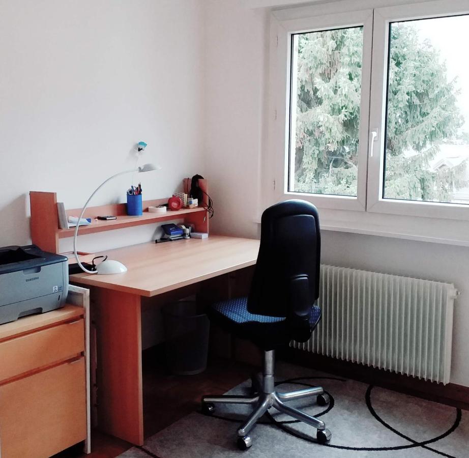 Alpine Apartment 维伦纽夫 外观 照片