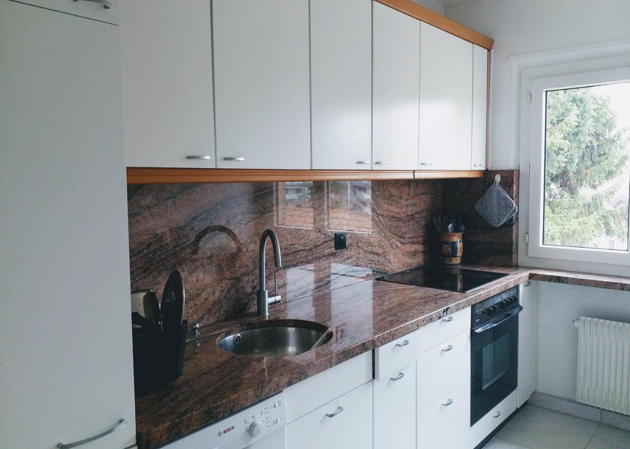 Alpine Apartment 维伦纽夫 外观 照片
